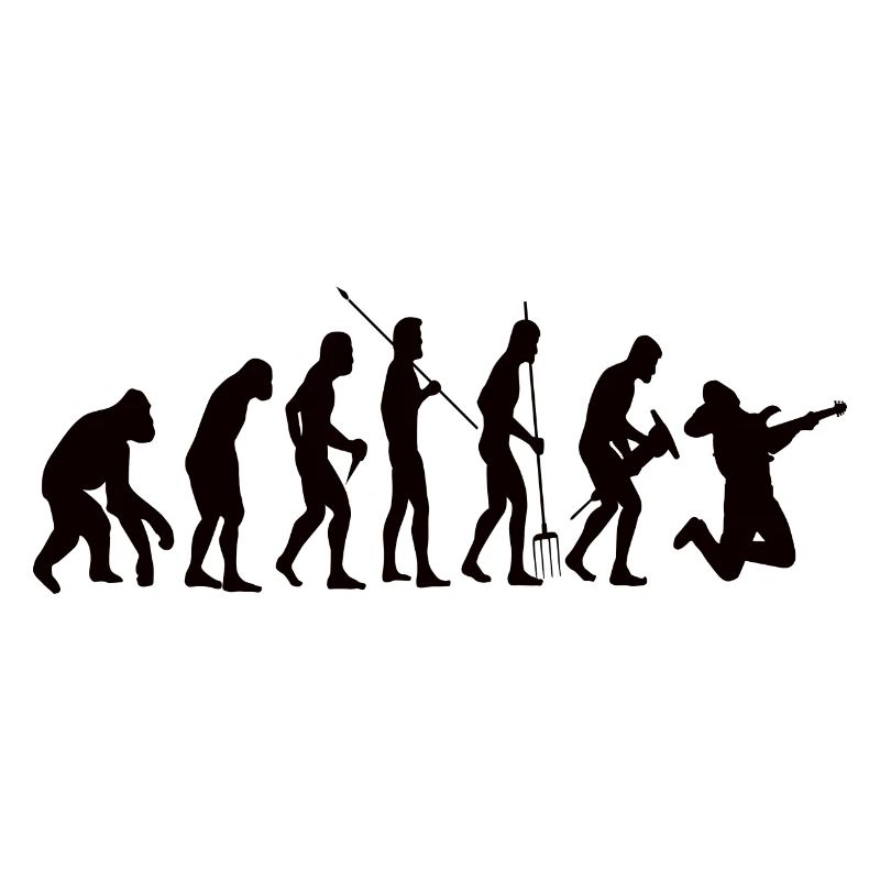 Guitare Evolution musique guitariste guitariste