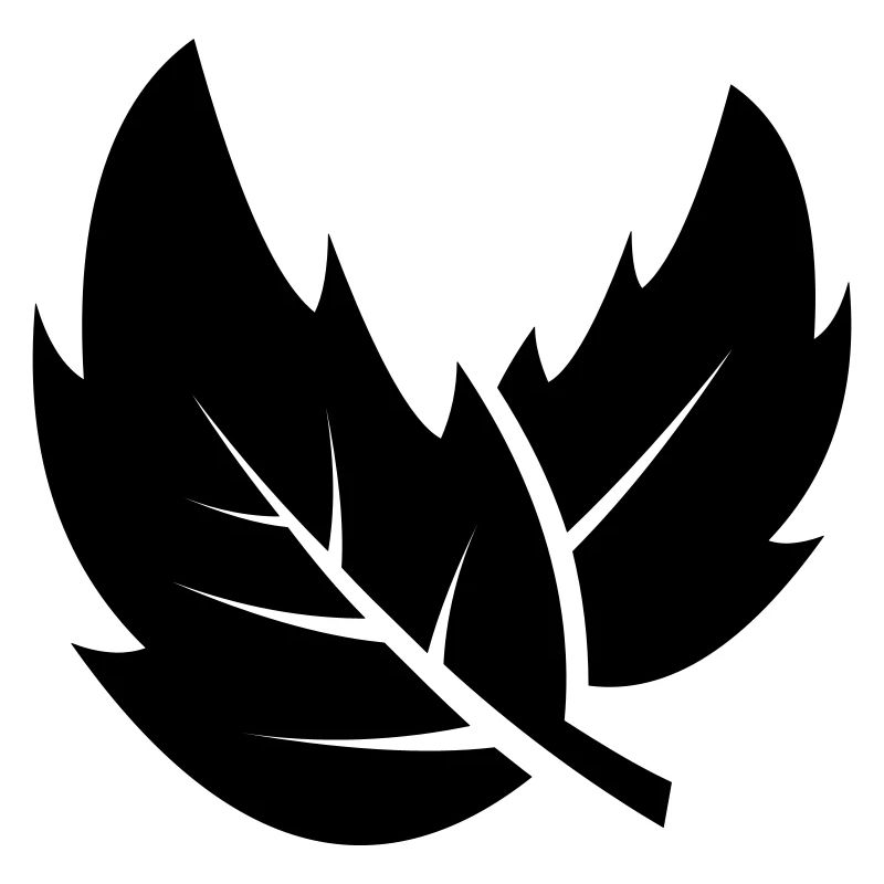 leaf 28