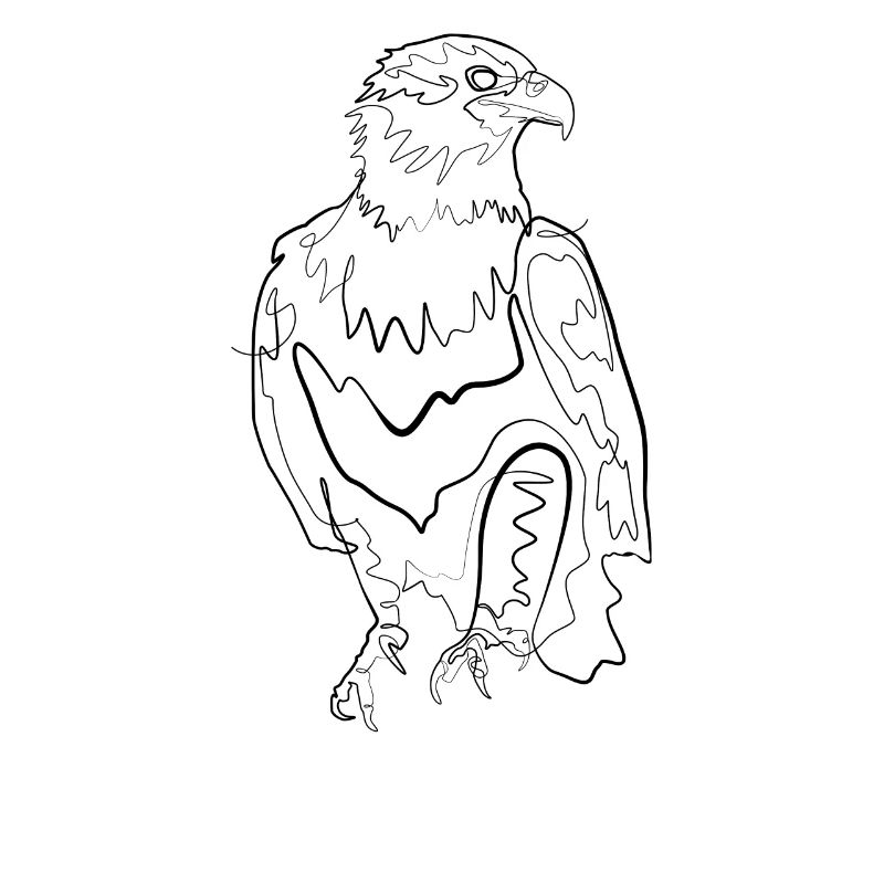 Aigle - one line drawing