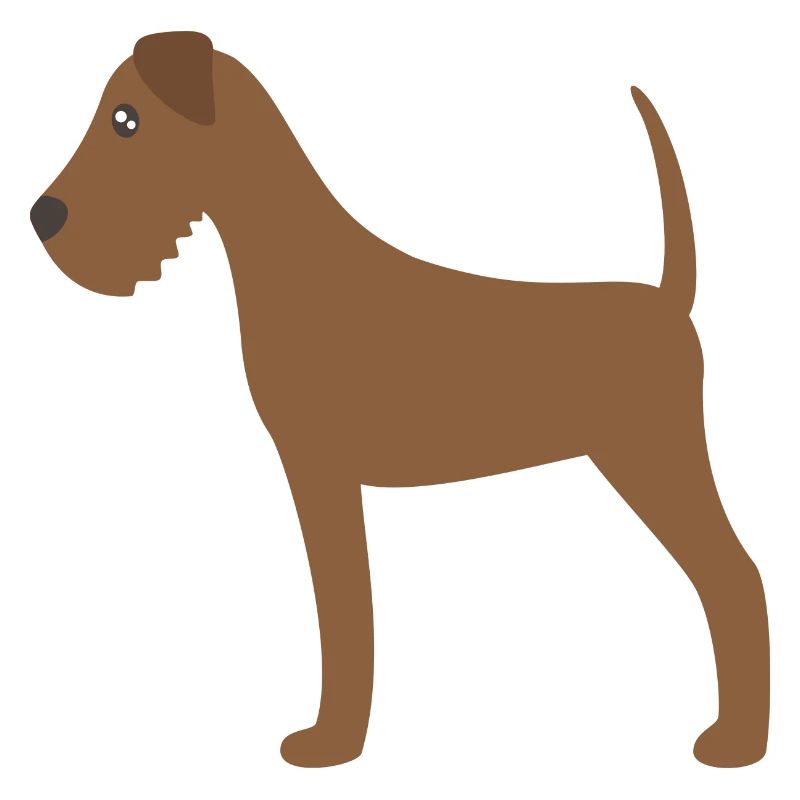 irish terrier