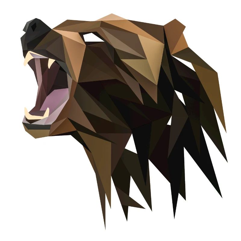 Bear geometric
