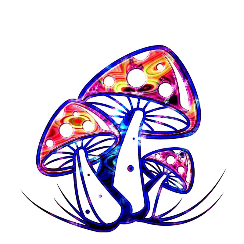Pilze Nr 01 Design D