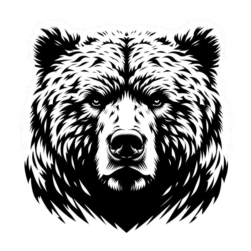 Mächtiger Bär | Powerful bear