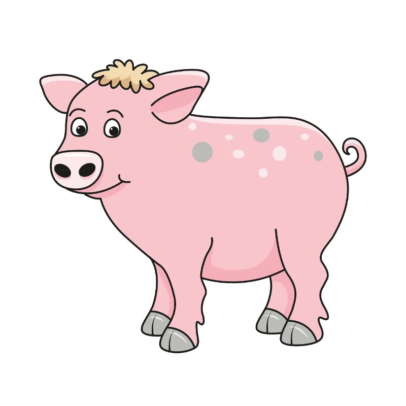 cochon drôle