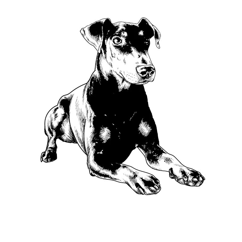 Manchester Terrier
