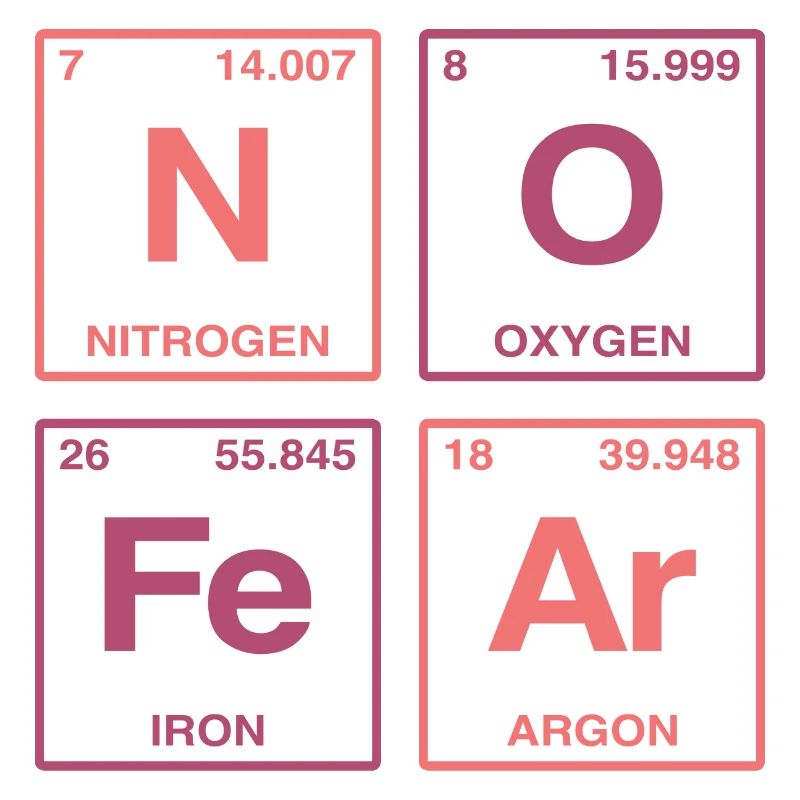 NO FEAR - avec des éléments du système de perdiode