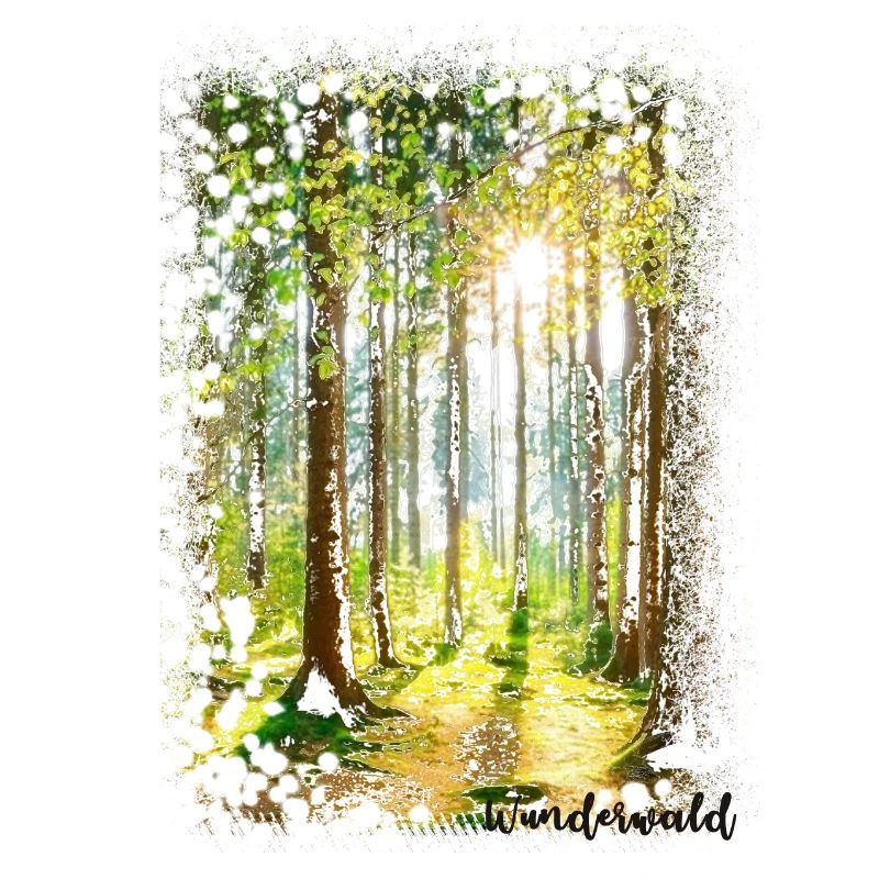 Forêt miraculeuse, forêt