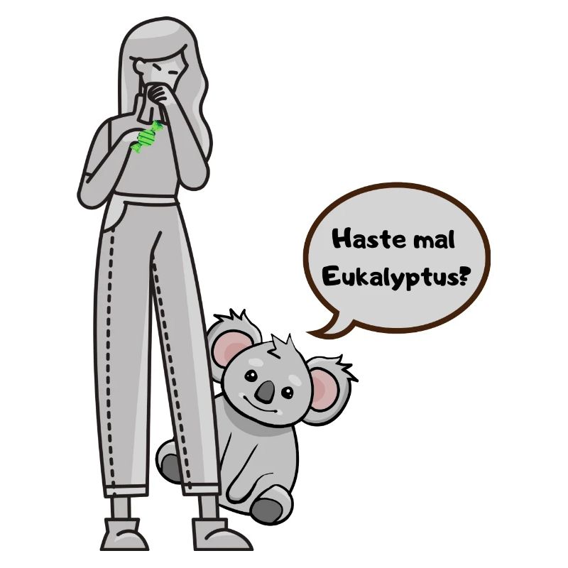 Koala fragt nach Eukalyptus