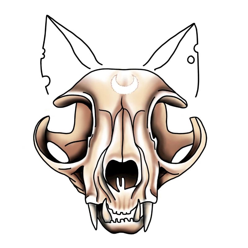 Cat Skull