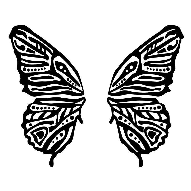 ailes papillon