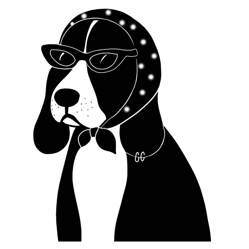 Beagle avec style