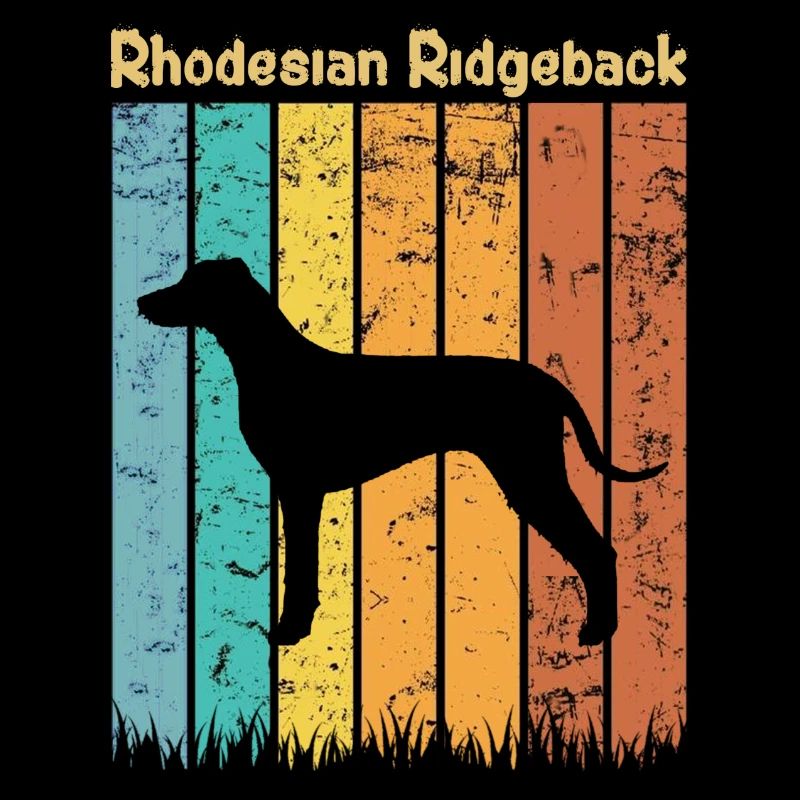 Rhodesian ridgeback