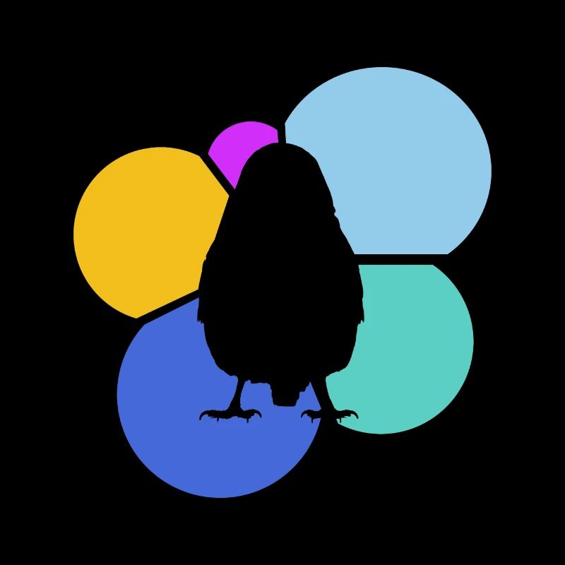 Observation des oiseaux Observation des oiseaux