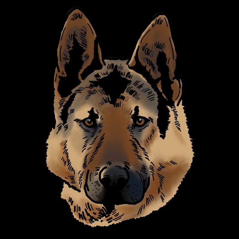 Deutscher Schäferhund