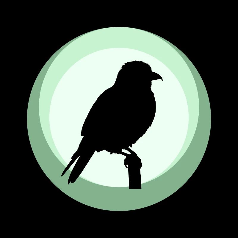 Perruche, Oiseau, Illustration, Observation D’oiseaux