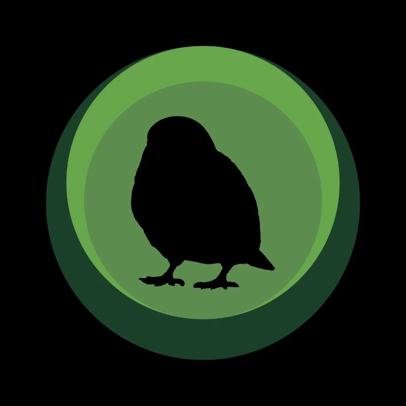 Observation des oiseaux Perruche