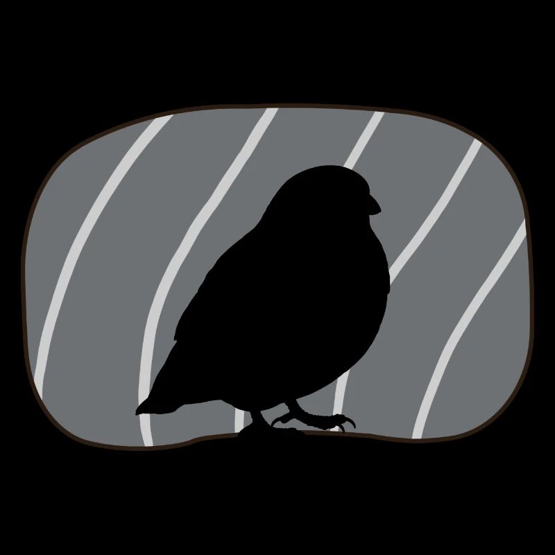 Oiseau, Ailes, Observation Des Oiseaux
