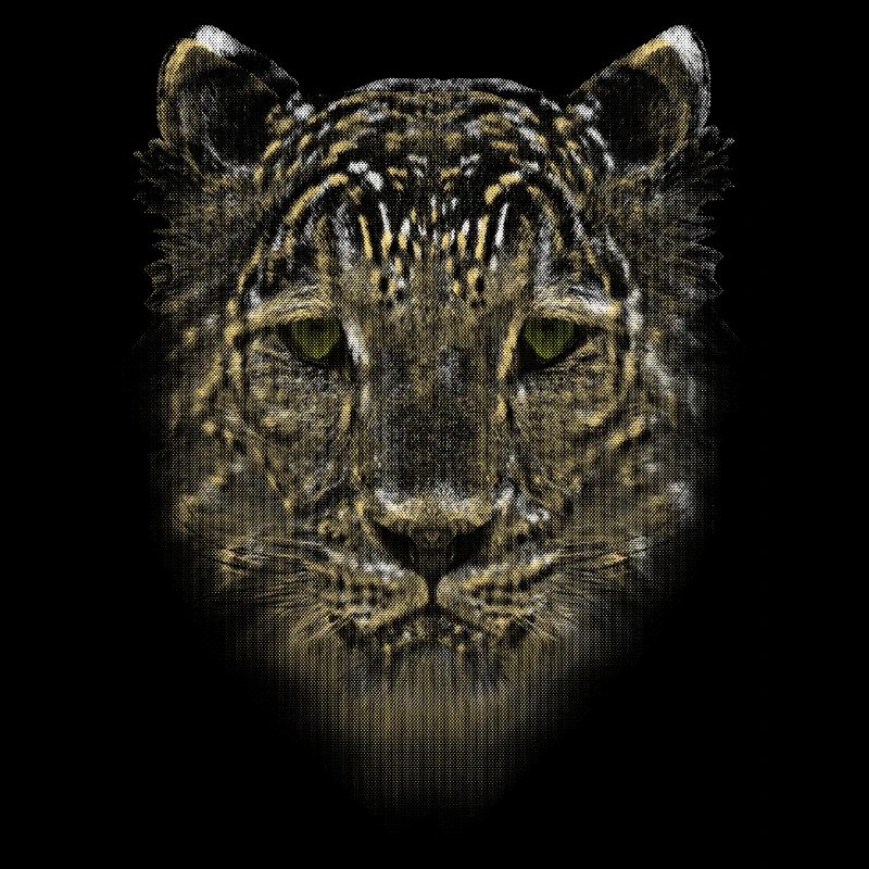 LEOPARD