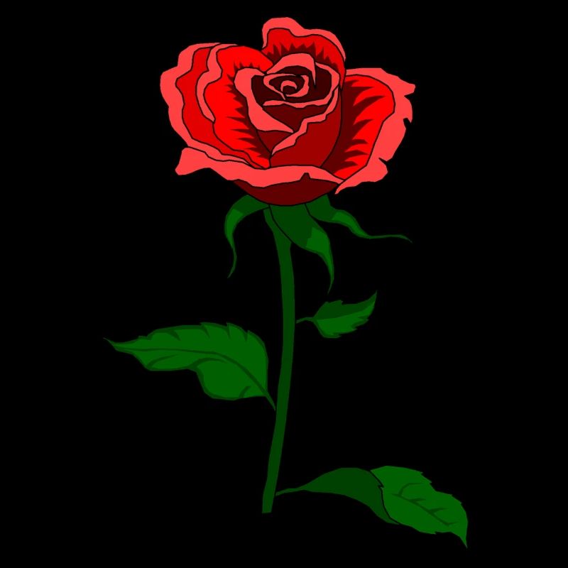 Rose Flower