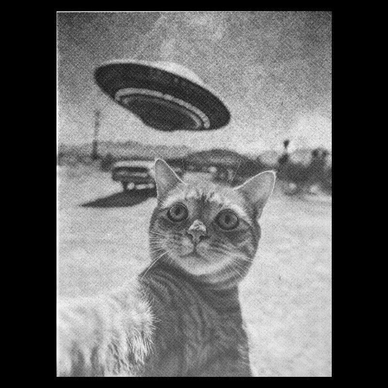 Surreal: cat + ufo