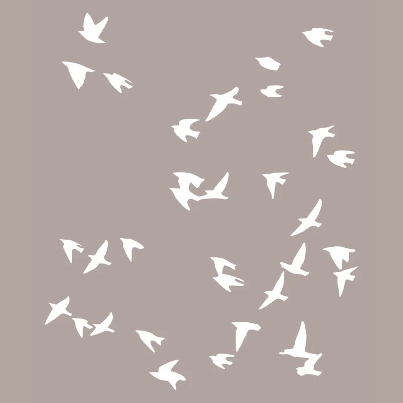 Bird flock flies