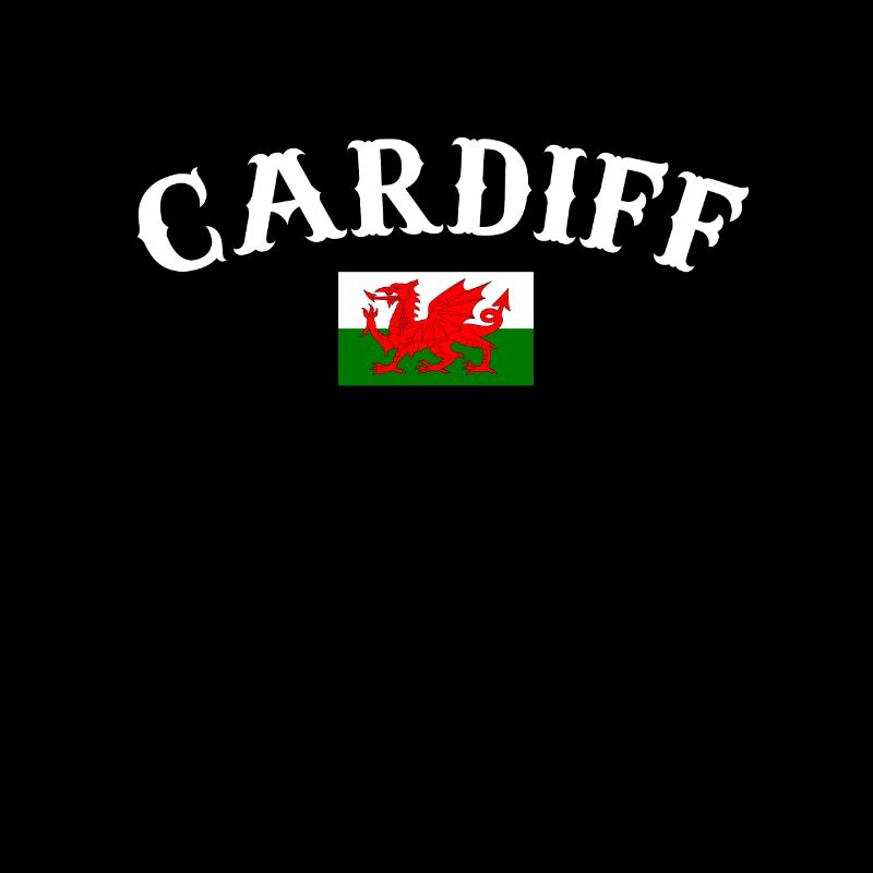 Cardiff Wales Welsh flag Welsh