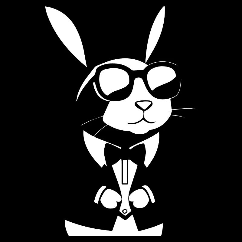 Lunettes de soleil Funny Rabbit Cool Sunglas Rabbit