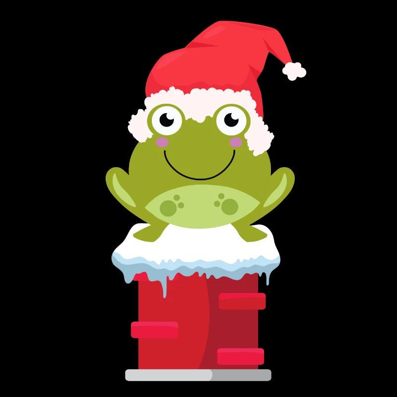 Frog Christmas gift idea funny frog