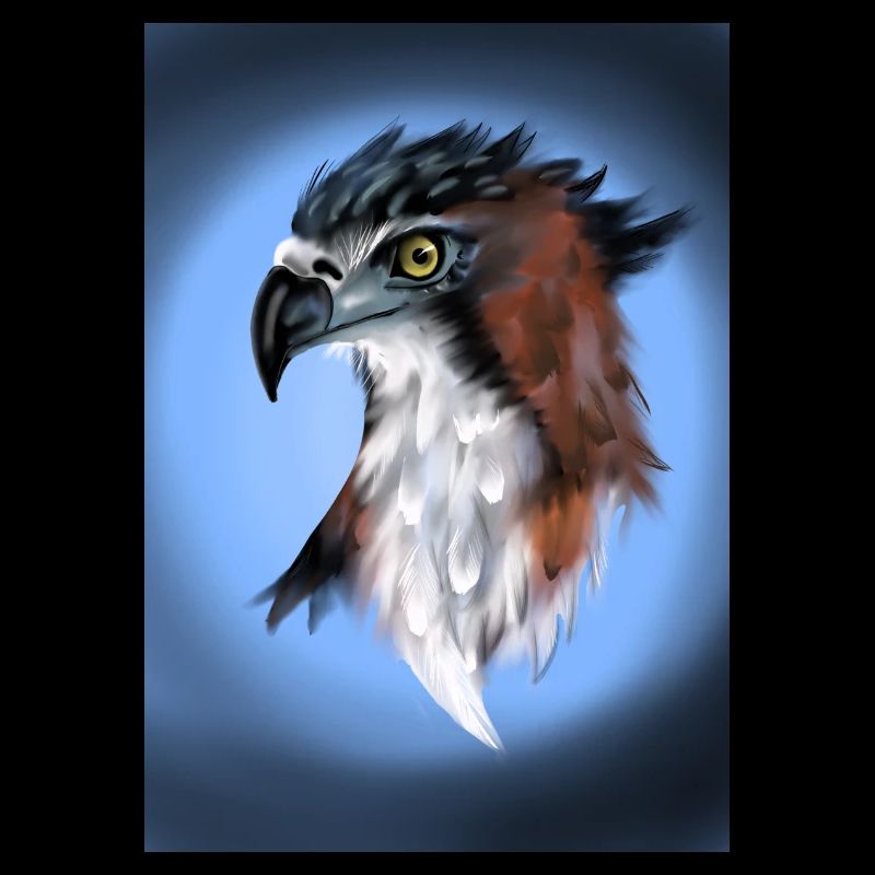 raptor head
