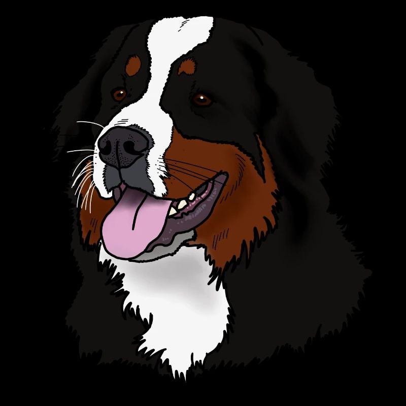 Berner Sennenhund Kopf