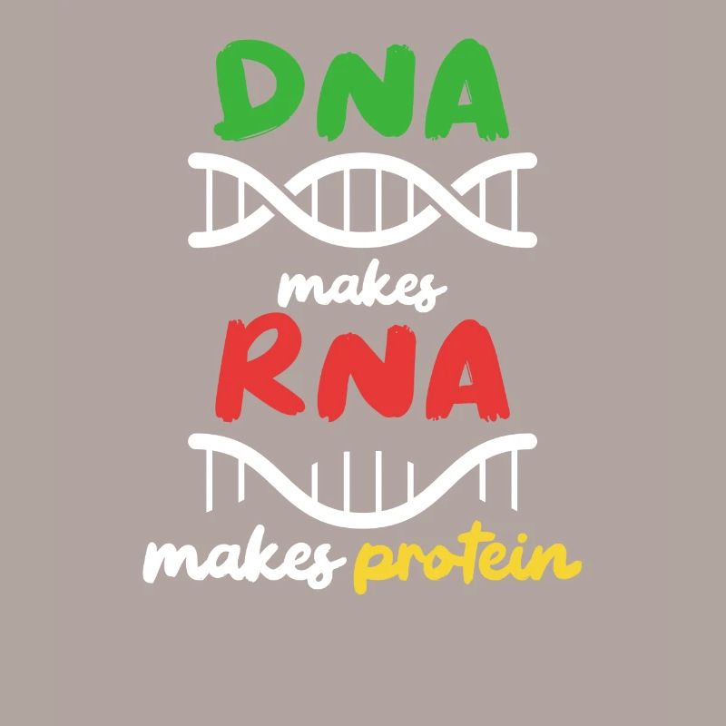 Aus DNA wird RNA wird Protein