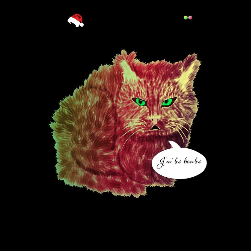 Le Chat peint de Noêl
