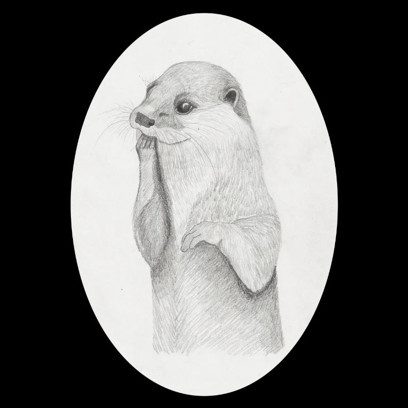 Otter Oval