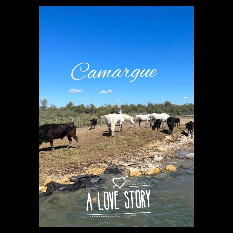 Camargue