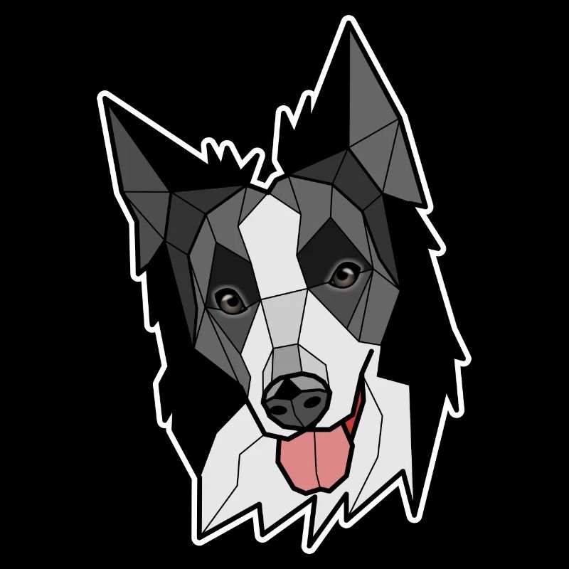 Border Collie - Black and White