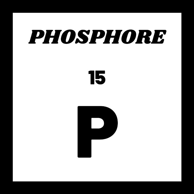 PHOSPHOR (P) - Chemisches Element Nr. 15