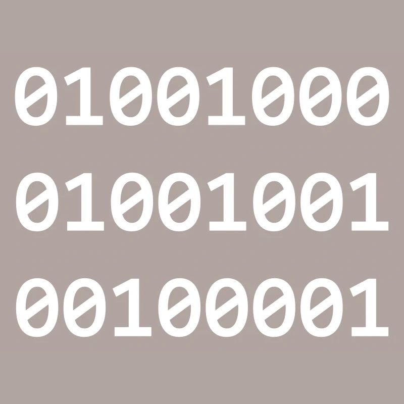 Hi Binary Programmierer grüßen sich so