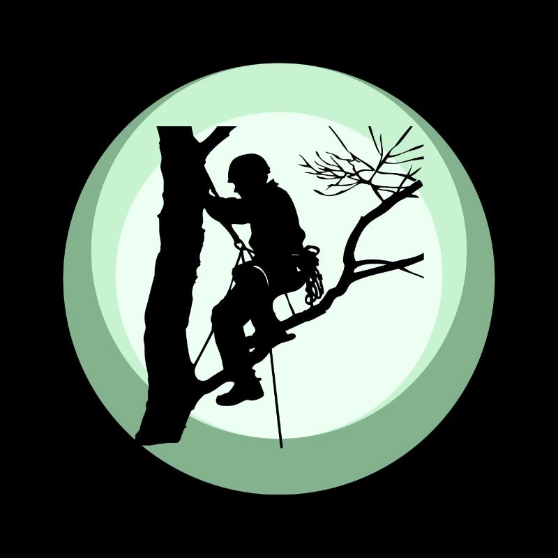 Baumklettern Aufstieg