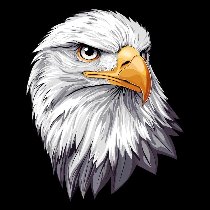 Aigle Pygargue à queue blanche Nature Oiseau de proie Oiseau de proie États-Unis