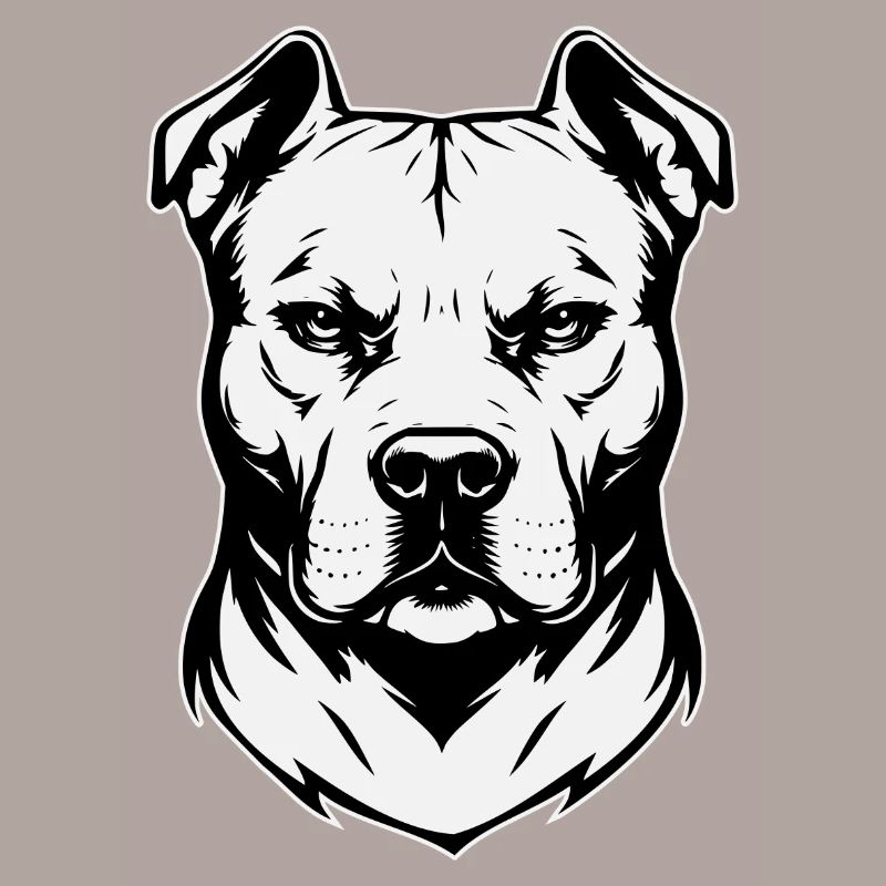 Conception de tête de pitbull noir et blanc