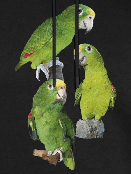 Der Amazonas-Königspapagei
