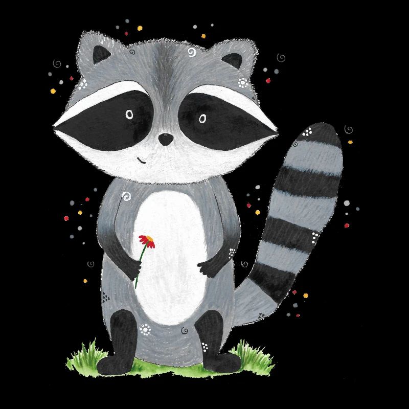 Waschbär Emil