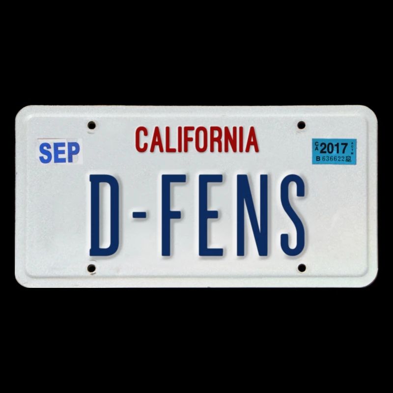 D FENS