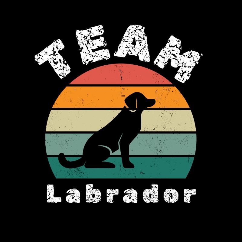 TEAM Labrador