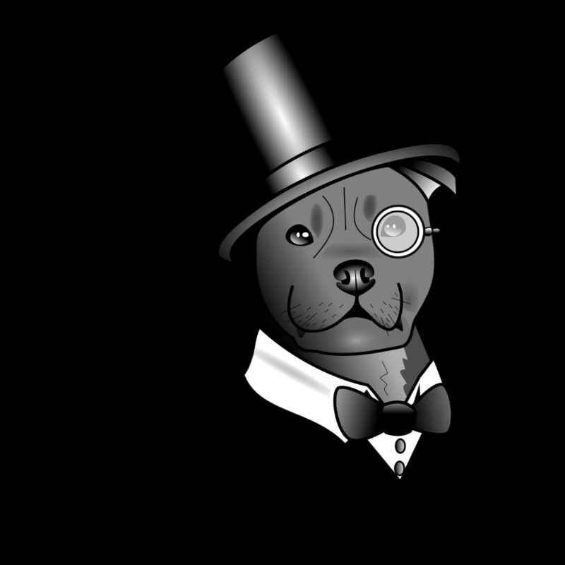 gentleman Staffy