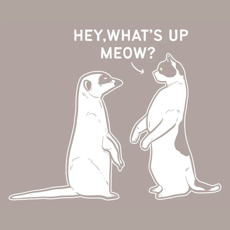 Meerkat