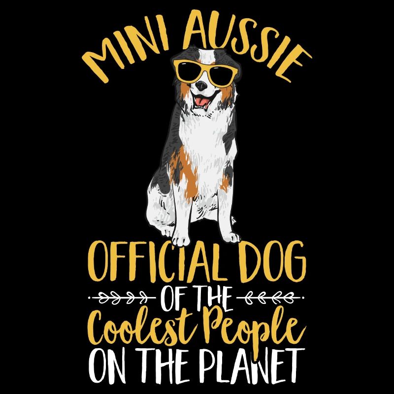 Miniature Australian Shepherd