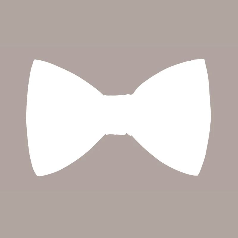 Fliege Querbinder Schleife Anzug