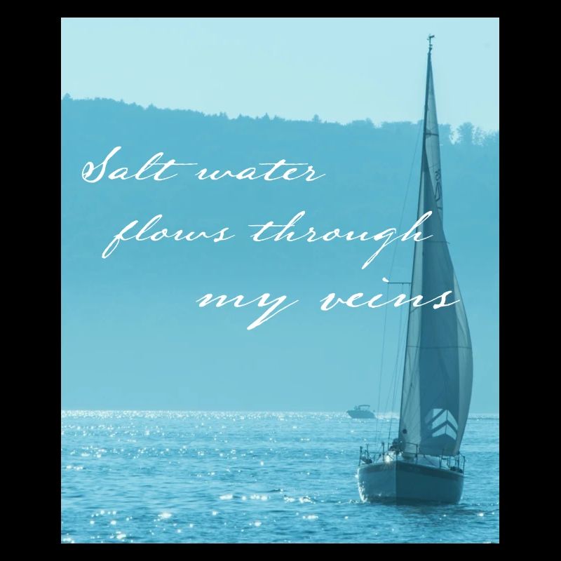 Funny saying sailing sailor skipper gift