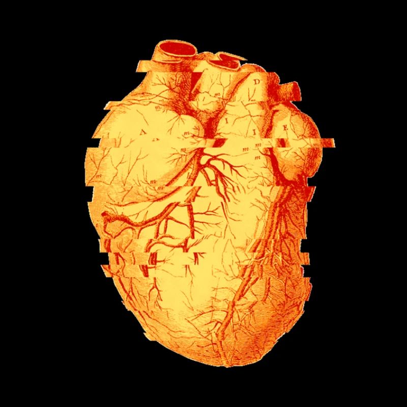 Heart Beat Glitch